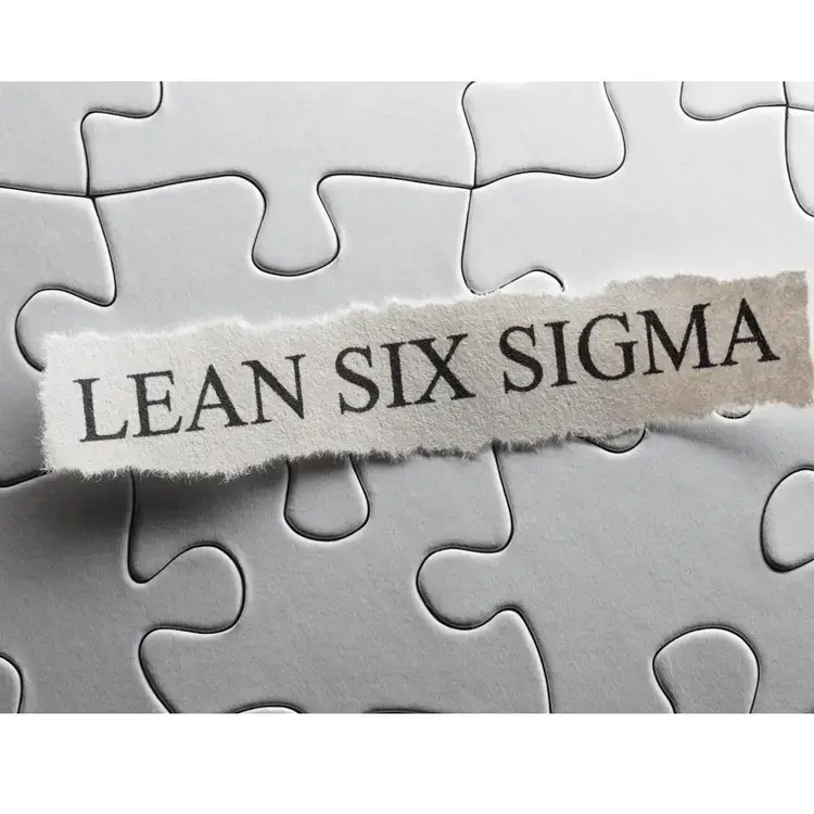 Lean Six Sigma Image Leanteams