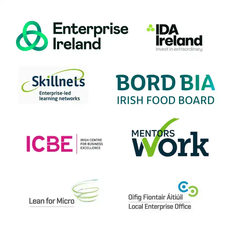 Collection of logos representing Lean Teams, Enterprise Ireland, Skillnets, and other Irish business.